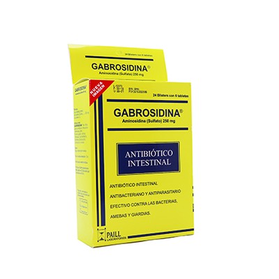 GABROSIDINA 250MG 144 TABLETAS C/B (CADA BLISTER)(6)